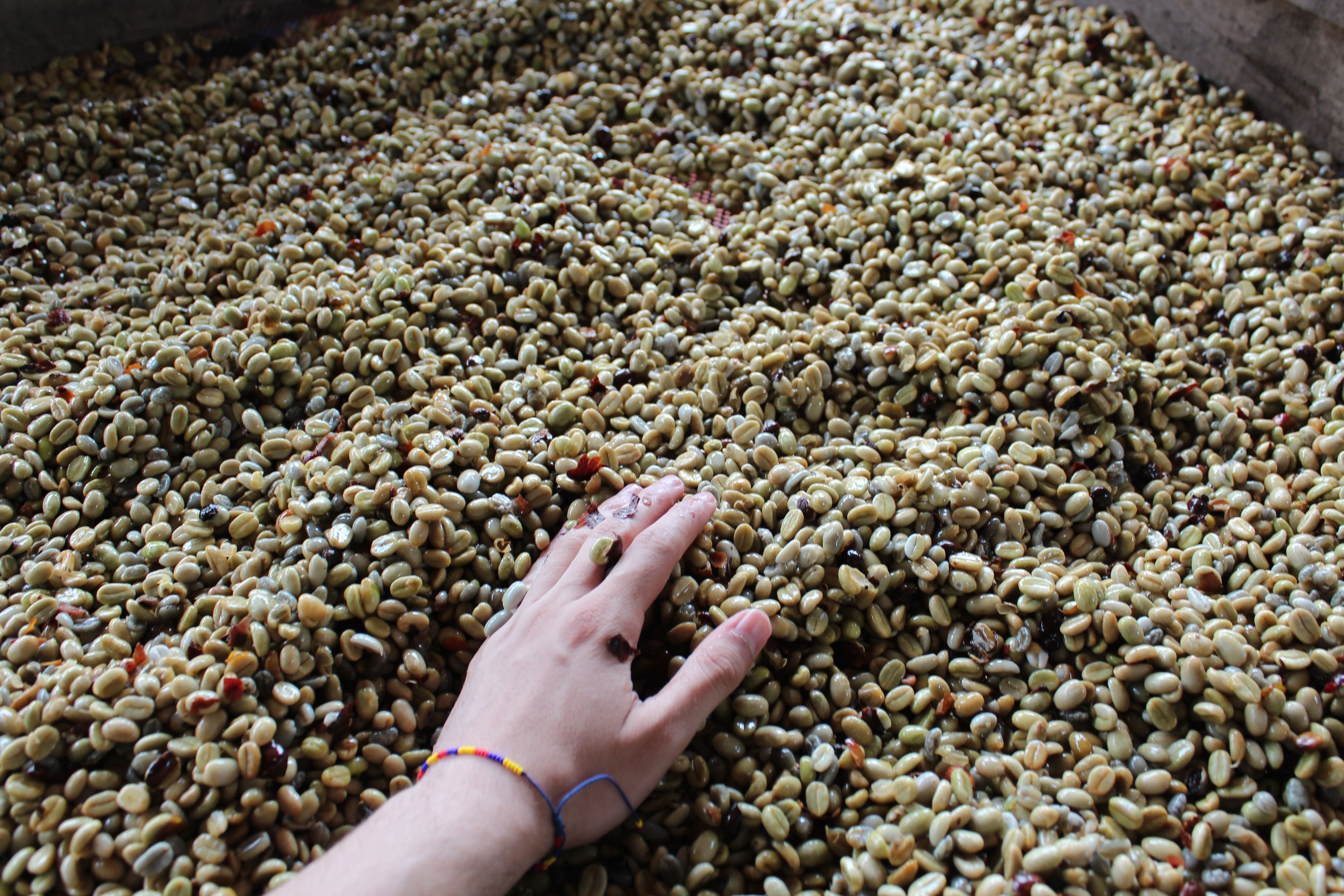 Wholesale
